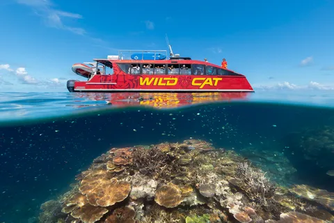 Airlie Beach : Excursion d'une journée à la barrière de corail extérieure avec masque et tuba