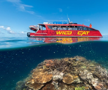 Airlie Beach: Outer Barrier Reef Snorkeling Day Trip