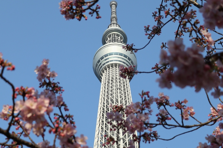 Tokyo Skytree: Admission Ticket and Private Pick-up Transfer Tembo Deck (350m) & Galleria (450m) with Private Pick-up
