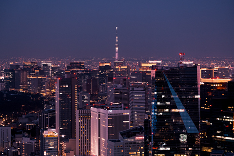 Tokyo Skytree: Eintrittskarte und privater AbholserviceTembo Deck (350m) mit privater Abholung vom Hotel