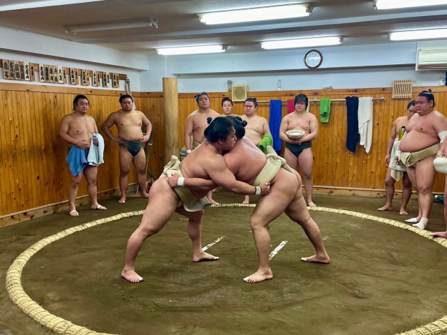 Visit Tokyo Sumo Morning Practice Tour with Live Commentary in Tokyo