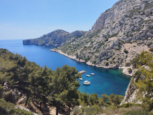 Visit Marseille Guided Hiking Calanques National Park from Luminy in Marseille