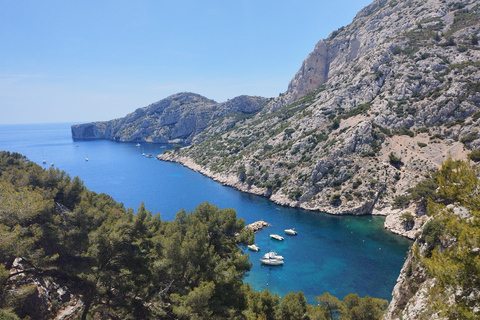 Marsiglia: Escursione guidata al Parco Nazionale delle Calanques da Luminy