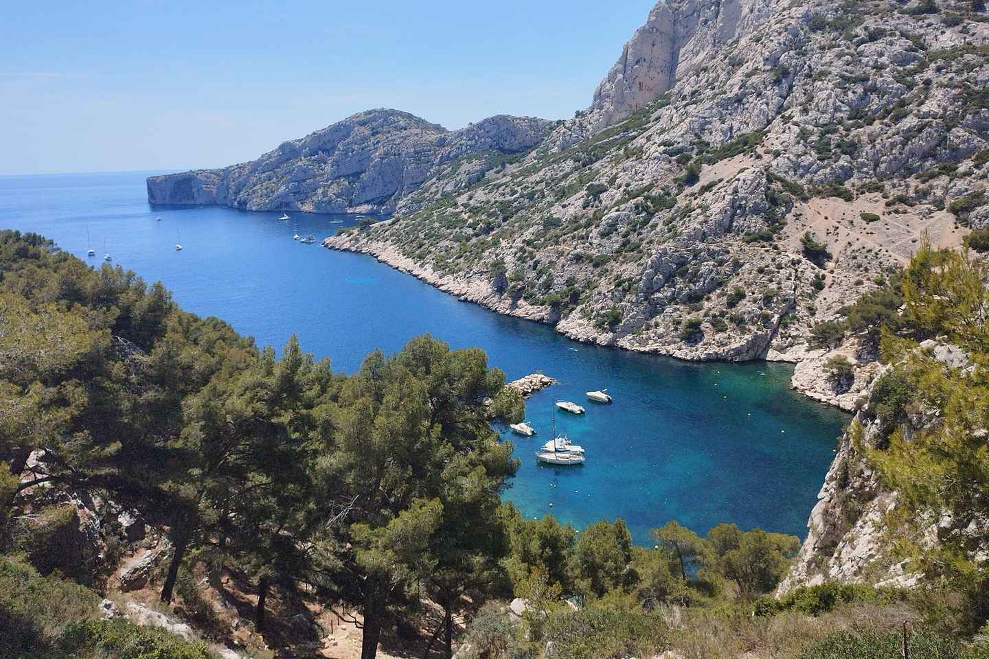 Marseille: Guided Hiking Calanques National Park from Luminy