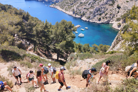 Marselha: Caminhada guiada pelo Parque Nacional das Calanques saindo de Luminy