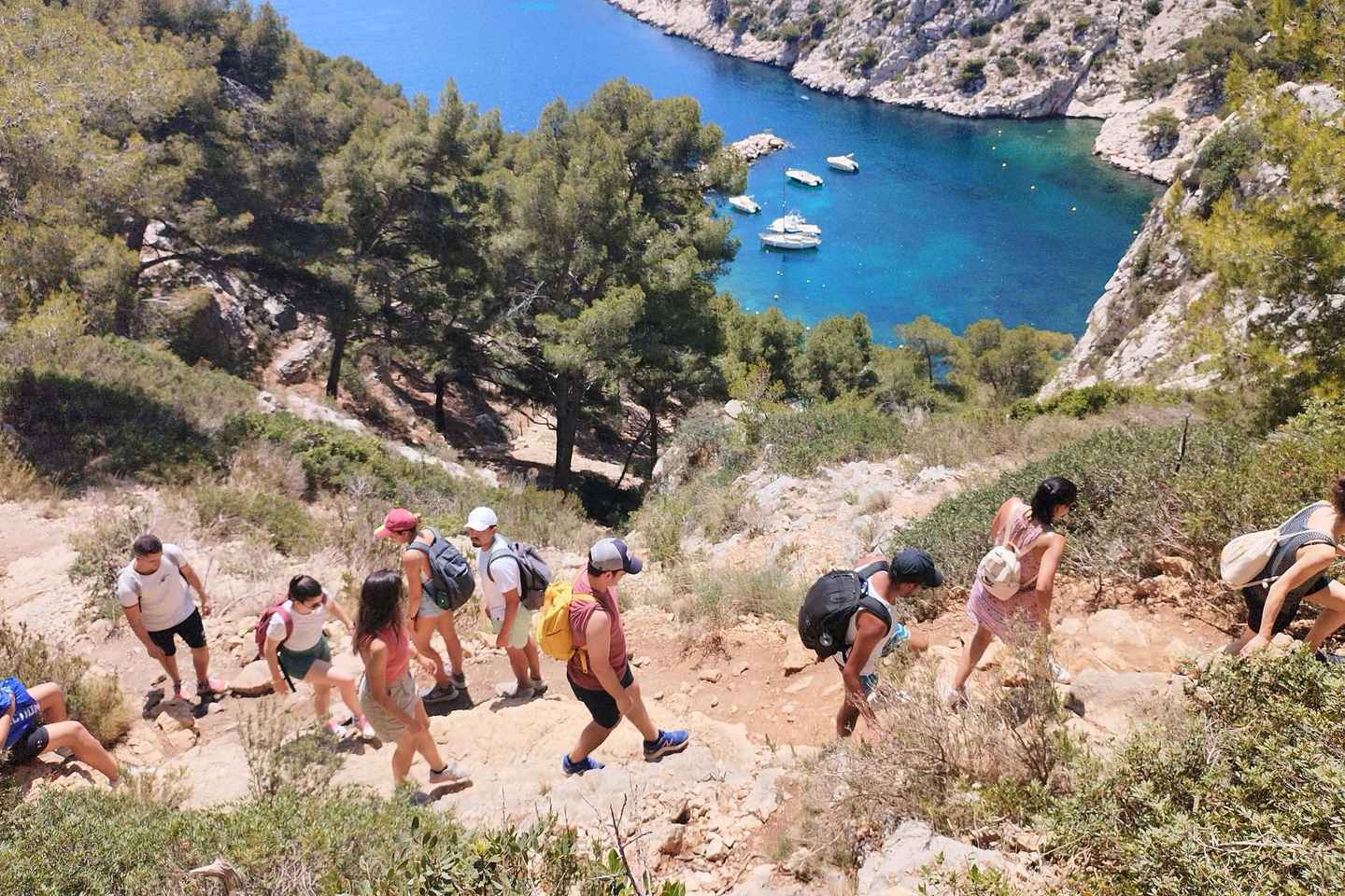 Marseille: Guided Hiking Calanques National Park from Luminy