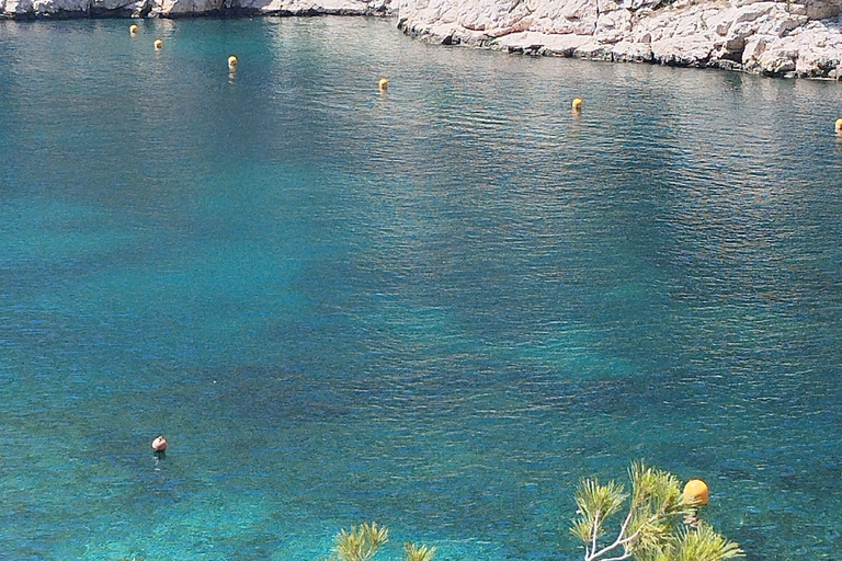 Marsiglia: Escursione guidata al Parco Nazionale delle Calanques da Luminy