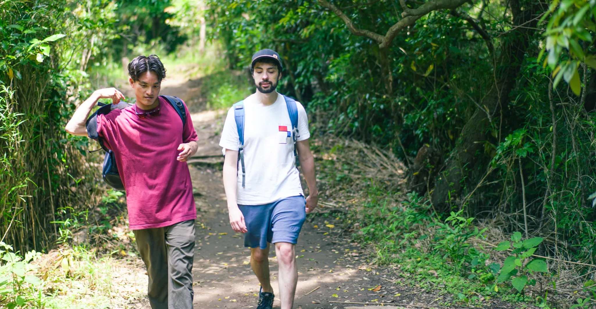 Kamakura Historical Hiking Tour with the Great Buddha - Hizvo
