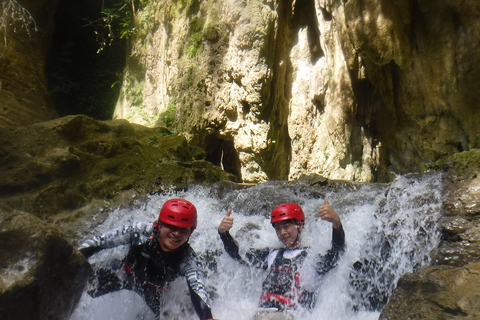 Whale Watching and Canyoneering Kawasan: Korean GuideWhale Watching and Canyoneering Kawasan