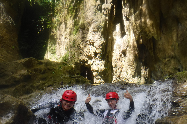 Whale Watching and Canyoneering Kawasan: Korean GuideWhale Watching and Canyoneering Kawasan