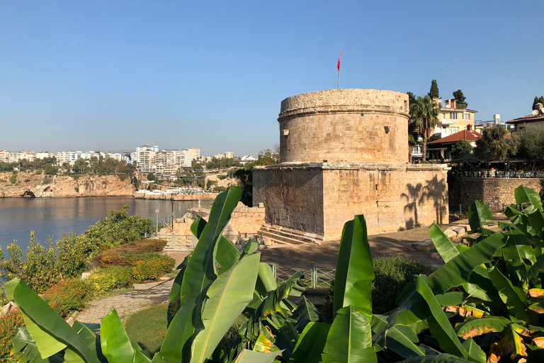 Explora el casco antiguo con sabor local