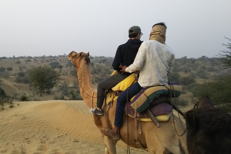 Un safari inoubliable à dos de chameau et en jeep à Osian VilllageTemple d'Osian avec promenade à dos de chameau et safari en jeep depuis Jodhpur