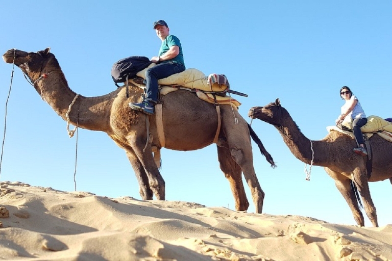 An Unforgettable Camel and Jeep Safari in Osian Villlage