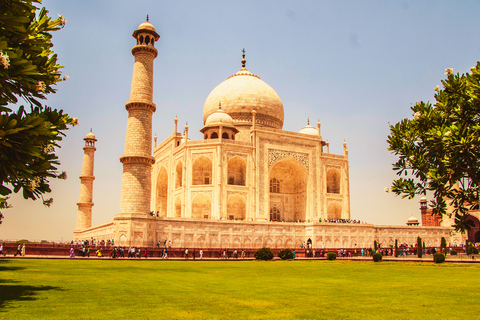 Visite du Taj Mahal depuis Delhi : Visite d'Agra en voiture le même jourVisite avec voiture + chauffeur + entrée payante + guide touristique + déjeuner