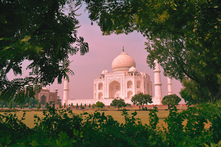 Visite du Taj Mahal depuis Delhi : Visite d'Agra en voiture le même jourVisite avec voiture + chauffeur + entrée payante + guide touristique + déjeuner