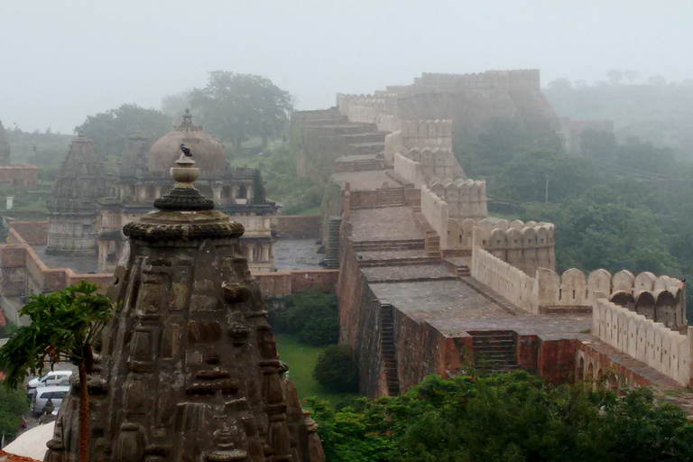 Excursion d'une journée au fort de Kumbhalgarh et au temple de Ranakpur depuis Jodhpur