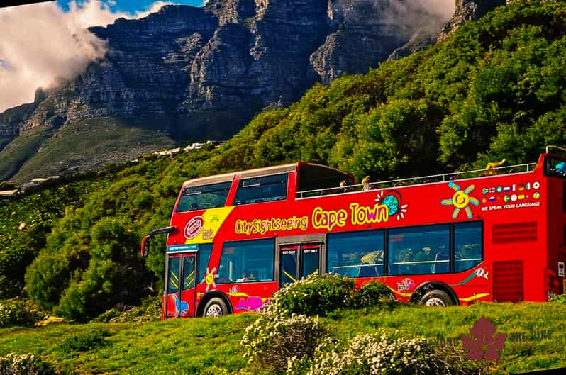 Best of Cape Town - Table mountain and Topless bus pass | GetYourGuide