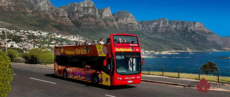 Best of Cape Town - Table mountain and Topless bus pass | GetYourGuide