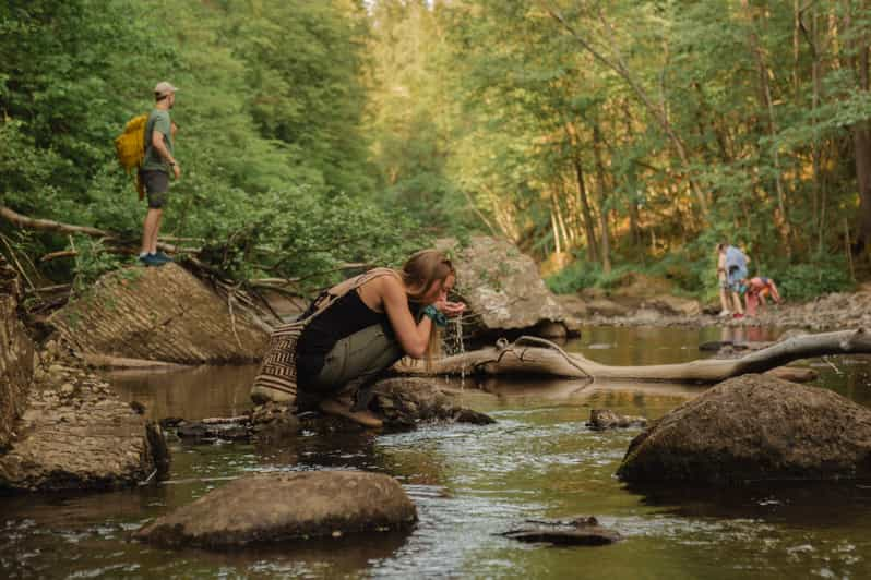 Oslo: Lysaker Wild River Walk 