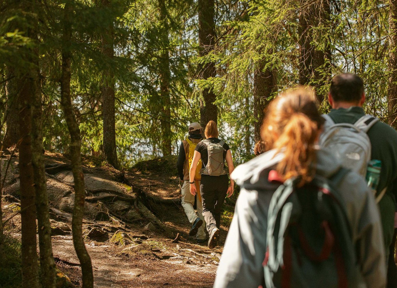 Oslo: Vettakollen-vandring med udsigt over Oslofjorden