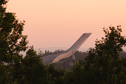 Ab Oslo: Wanderausflug nach Frognerseteren und Vettakollen