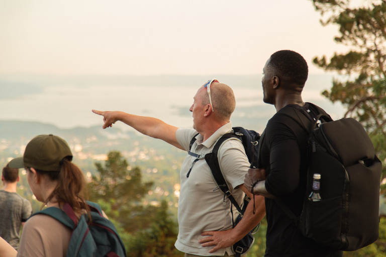 Ab Oslo: Wanderausflug nach Frognerseteren und Vettakollen