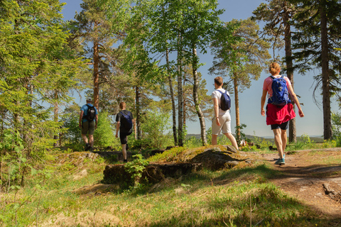 Randonnée dans la forêt sauvage