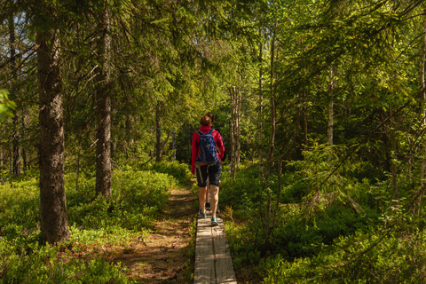 Randonnée dans la forêt sauvage