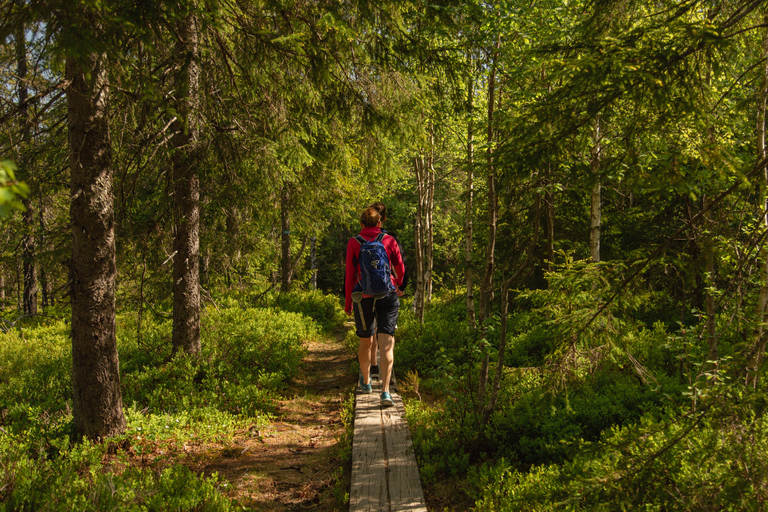 Wildlife Forest Hike