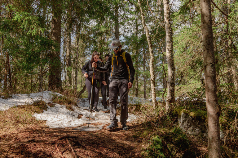 Randonnée dans la forêt sauvage