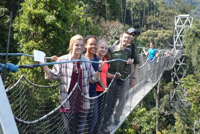 Visit Nyungwe Forest National Park Canopy Walk Adventure Tour in Kigali