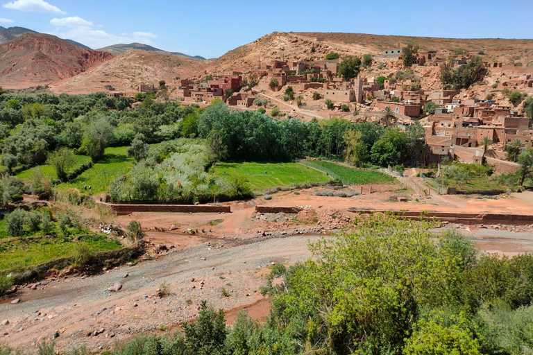 Atlas Mountains Day Trip, Camel Ride & Three Valley