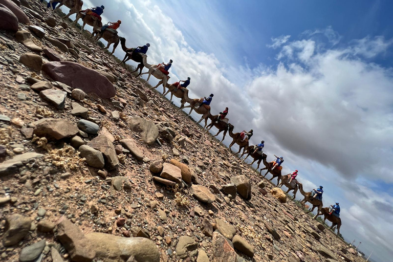 Atlas Mountains Day Trip, Camel Ride &amp; Three Valley