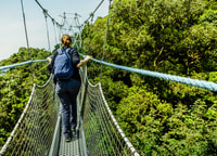Nyungwe Forest National Park, Canopy Walk Adventure Tour - Housity