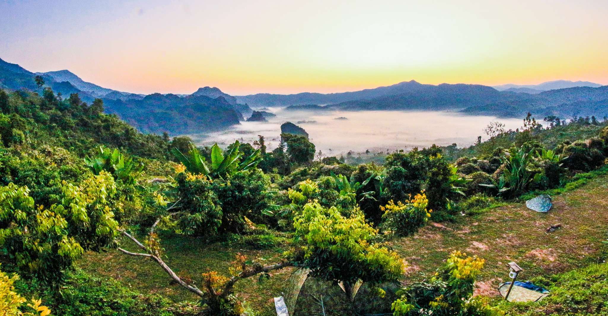 Nyungwe Forest National Park, Canopy Walk Adventure Tour - Housity