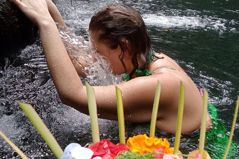 Alquiler de coches: La mejor excursión por las cascadas y terrazas de arroz de Ubud8 horas en coche Terrazas de arroz, cascadas, templo del agua