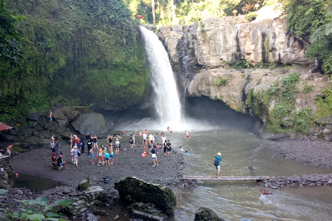 Alquiler de coches: La mejor excursión por las cascadas y terrazas de arroz de Ubud8 horas en coche Terrazas de arroz, cascadas, templo del agua