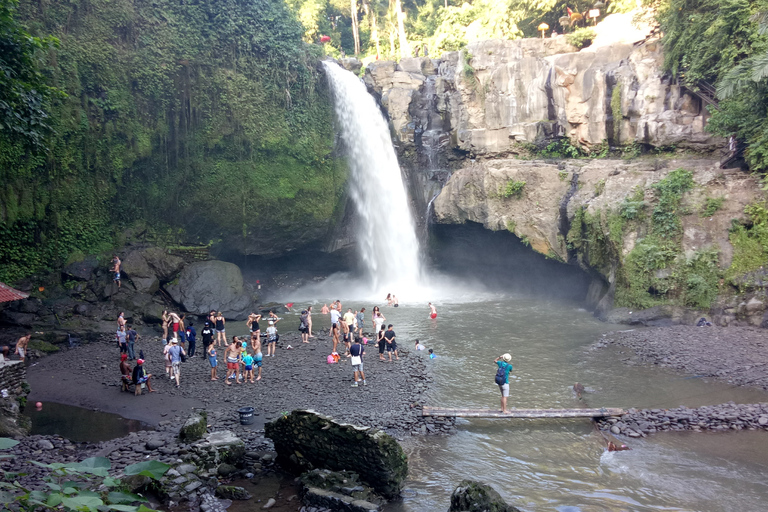 Autocharter: beste watervallen, rijstterrassen Tour in Ubud8 uur autohuur Rijstterrassen, watervallen, watertempel