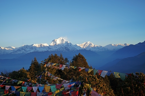 Ghorepani Poon Hill Trek: 4-daagse privétour vanuit PokharaGhorepani Poon Hill Trek | 4-daagse privétrektocht vanuit Pokhara