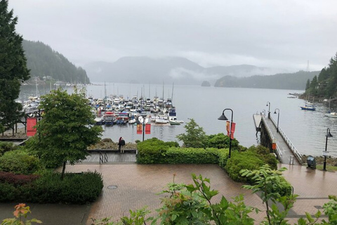 Kayaking Vancouver Tour