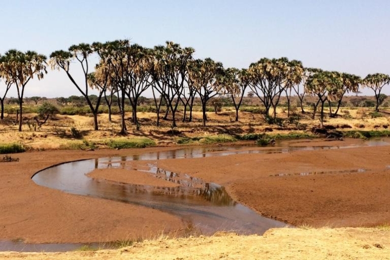 4-dniowe safari do rezerwatu Ol pejeta i rezerwatu Samburu