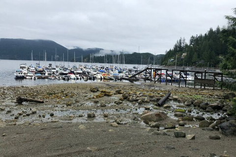 Kayaking Vancouver Tour