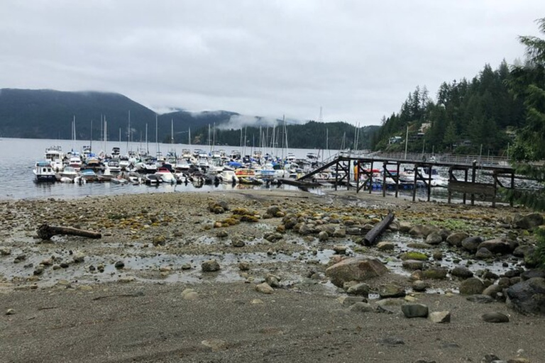 Kayaking Vancouver Tour