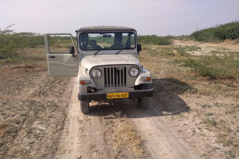 Rajasthan Bishnoi Village Safari met authentiek eten