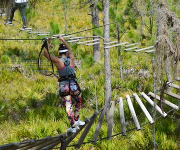 Bradenton: Adventure Course Entry Ticket