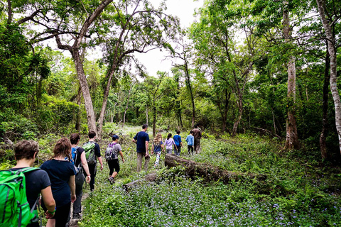 Nepal: Tour classico di 8 giorni (Kathmandu, Chitwan e Pokhara)Tour classico del Nepal (tour condiviso con trasporto in autobus)