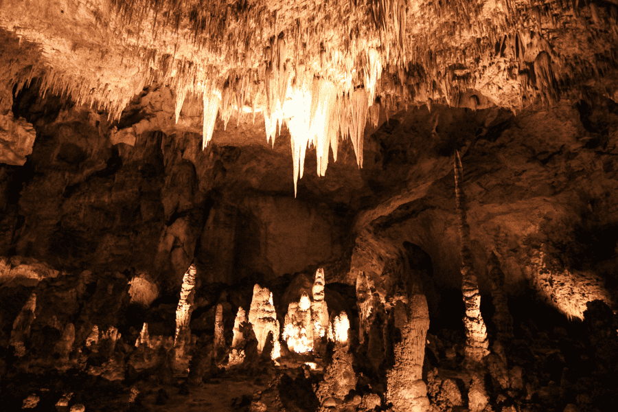 Carlsbad Caverns National Park Audio Tour zu Fuß. Foto: GetYourGuide