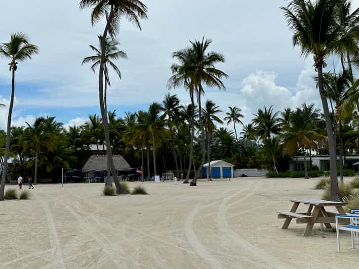 Islamorada Snorkeling and Beach Adventure GetYourGuide