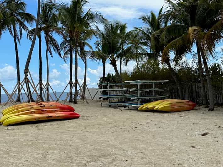 Islamorada Snorkeling and Beach Adventure GetYourGuide