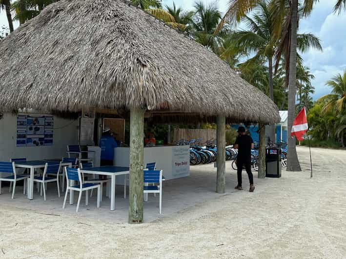 Islamorada Snorkeling and Beach Adventure GetYourGuide